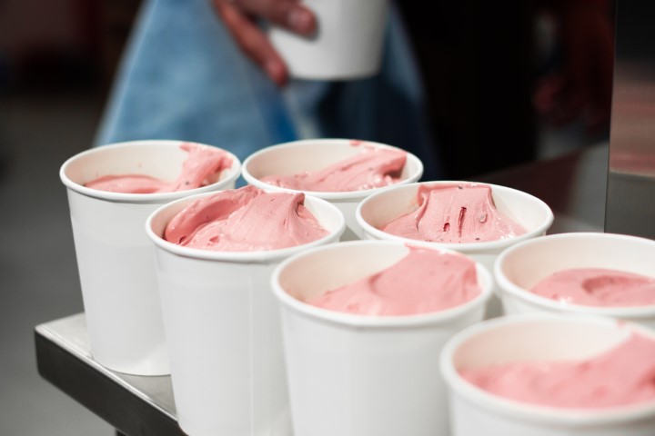Repro's ice cream portioner fills cups with good gelato