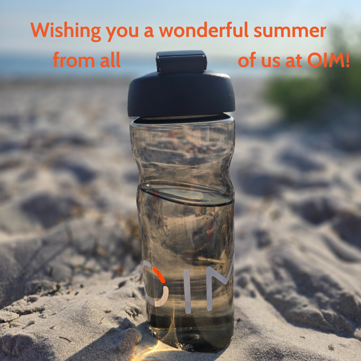 Happy summer from OIM
