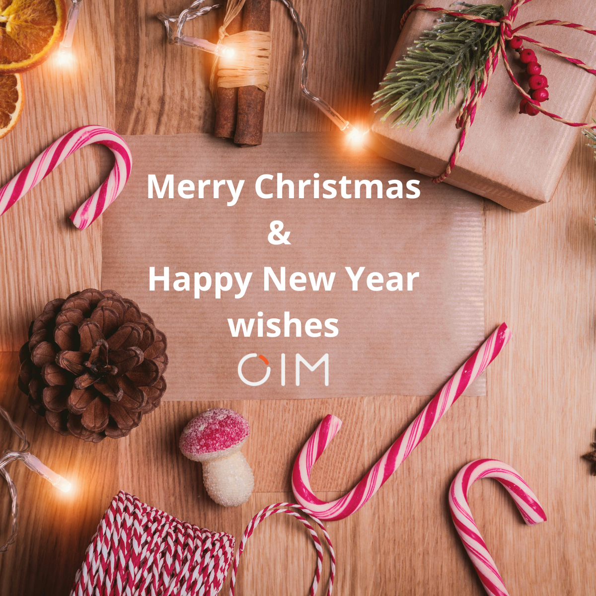 Merry Christmas and a Happy New Year from OIM Sweden!